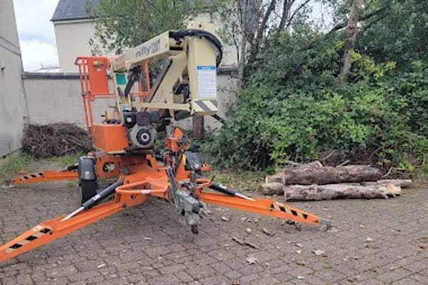 cherry picker tree cutting