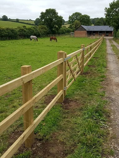 equestrian paddock fencing