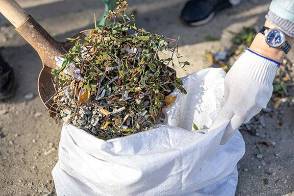 garden waste removal