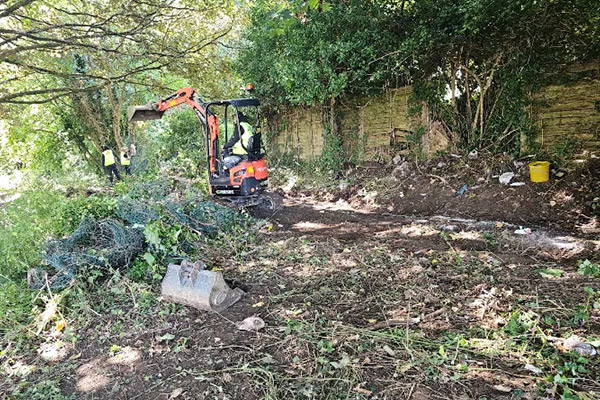 tree clearance
